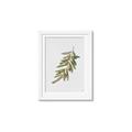 Picture of Olive Branch _GroupedProduct_Rectangle_Portrait_Framed_Matted_