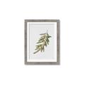 Picture of Olive Branch _GroupedProduct_Rectangle_Portrait_Framed_Matted_