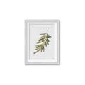 Picture of Olive Branch _GroupedProduct_Rectangle_Portrait_Framed_Matted_