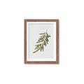 Picture of Olive Branch _GroupedProduct_Rectangle_Portrait_Framed_Matted_
