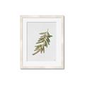 Picture of Olive Branch _GroupedProduct_Rectangle_Portrait_Framed_Matted_
