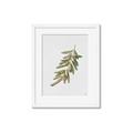 Picture of Olive Branch _GroupedProduct_Rectangle_Portrait_Framed_Matted_