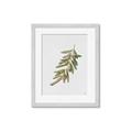 Picture of Olive Branch _GroupedProduct_Rectangle_Portrait_Framed_Matted_