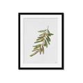 Picture of Olive Branch _GroupedProduct_Rectangle_Portrait_Framed_Matted_