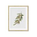Picture of Olive Branch _GroupedProduct_Rectangle_Portrait_Framed_Matted_