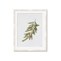 Picture of Olive Branch _GroupedProduct_Rectangle_Portrait_Framed_Matted_