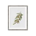 Picture of Olive Branch _GroupedProduct_Rectangle_Portrait_Framed_Matted_
