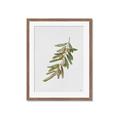 Picture of Olive Branch _GroupedProduct_Rectangle_Portrait_Framed_Matted_