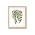 Picture of Lovely Leaves I _GroupedProduct_Rectangle_Portrait_Framed_Matted_