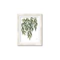 Picture of Lovely Leaves II _GroupedProduct_Rectangle_Portrait_Framed_Matted_