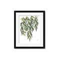 Picture of Lovely Leaves II _GroupedProduct_Rectangle_Portrait_Framed_Matted_