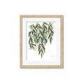 Picture of Lovely Leaves II _GroupedProduct_Rectangle_Portrait_Framed_Matted_