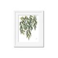 Picture of Lovely Leaves II _GroupedProduct_Rectangle_Portrait_Framed_Matted_