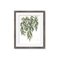 Picture of Lovely Leaves II _GroupedProduct_Rectangle_Portrait_Framed_Matted_