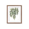 Picture of Lovely Leaves II _GroupedProduct_Rectangle_Portrait_Framed_Matted_