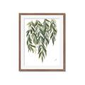 Picture of Lovely Leaves II _GroupedProduct_Rectangle_Portrait_Framed_Matted_