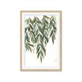 Picture of Lovely Leaves II _GroupedProduct_Rectangle_Portrait_Framed_Matted_