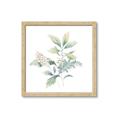 Picture of Oakleaf _GroupedProduct_Square_Framed_Matted_