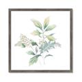 Picture of Oakleaf _GroupedProduct_Square_Framed_Matted_
