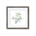 Picture of Oakleaf _GroupedProduct_Square_Framed_Matted_