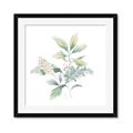 Picture of Oakleaf _GroupedProduct_Square_Framed_Matted_