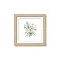 Picture of Botanical Burst I _GroupedProduct_Square_Framed_Matted_