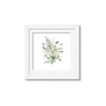 Picture of Botanical Burst I _GroupedProduct_Square_Framed_Matted_