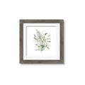 Picture of Botanical Burst I _GroupedProduct_Square_Framed_Matted_
