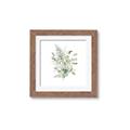 Picture of Botanical Burst I _GroupedProduct_Square_Framed_Matted_