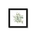 Picture of Botanical Burst II _GroupedProduct_Square_Framed_Matted_