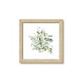 Picture of Botanical Burst II _GroupedProduct_Square_Framed_Matted_