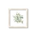 Picture of Botanical Burst II _GroupedProduct_Square_Framed_Matted_