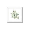 Picture of Botanical Burst II _GroupedProduct_Square_Framed_Matted_