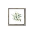 Picture of Botanical Burst II _GroupedProduct_Square_Framed_Matted_