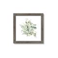 Picture of Botanical Burst II _GroupedProduct_Square_Framed_Matted_