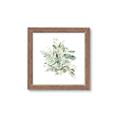 Picture of Botanical Burst II _GroupedProduct_Square_Framed_Matted_