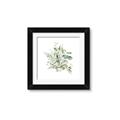 Picture of Botanical Burst II _GroupedProduct_Square_Framed_Matted_