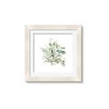 Picture of Botanical Burst II _GroupedProduct_Square_Framed_Matted_
