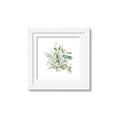 Picture of Botanical Burst II _GroupedProduct_Square_Framed_Matted_