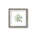 Picture of Botanical Burst II _GroupedProduct_Square_Framed_Matted_
