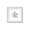 Picture of Botanical Burst II _GroupedProduct_Square_Framed_Matted_