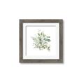 Picture of Botanical Burst II _GroupedProduct_Square_Framed_Matted_