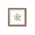 Picture of Botanical Burst II _GroupedProduct_Square_Framed_Matted_