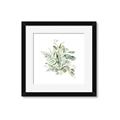 Picture of Botanical Burst II _GroupedProduct_Square_Framed_Matted_