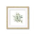 Picture of Botanical Burst II _GroupedProduct_Square_Framed_Matted_