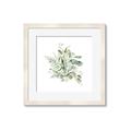 Picture of Botanical Burst II _GroupedProduct_Square_Framed_Matted_