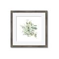 Picture of Botanical Burst II _GroupedProduct_Square_Framed_Matted_