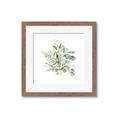 Picture of Botanical Burst II _GroupedProduct_Square_Framed_Matted_
