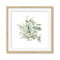 Picture of Botanical Burst II _GroupedProduct_Square_Framed_Matted_