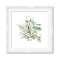 Picture of Botanical Burst II _GroupedProduct_Square_Framed_Matted_